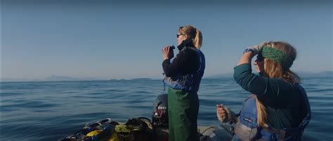 Everything You Need to Know About Fathom Movie .
